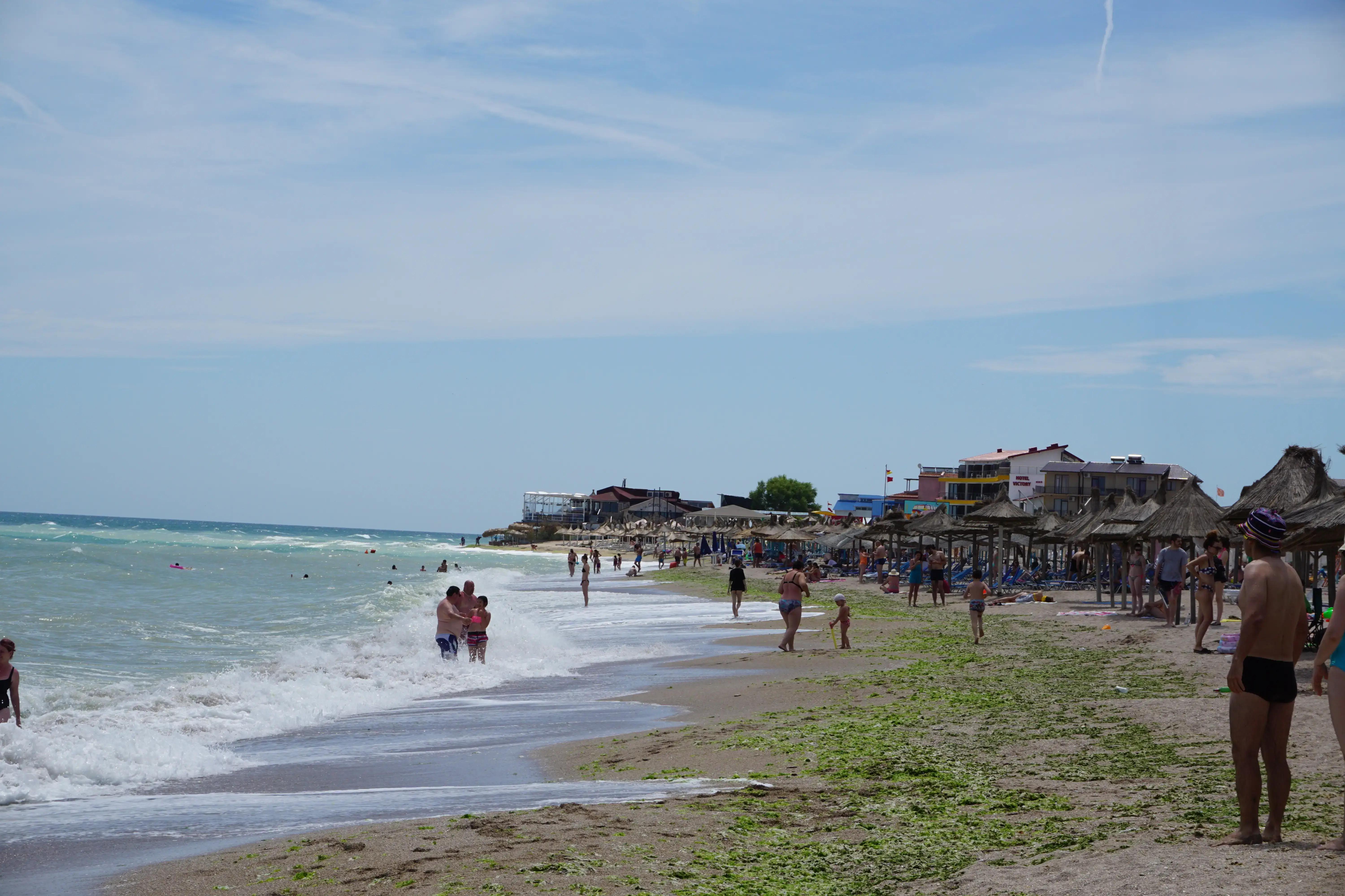Looking south from the beach