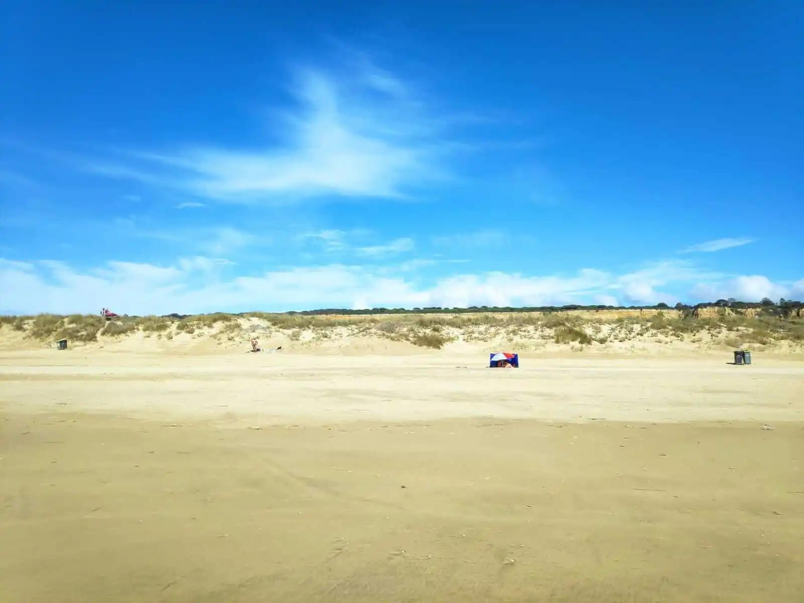 Dunes offer privacy and respite from strong winds at Praia da Bela Vista