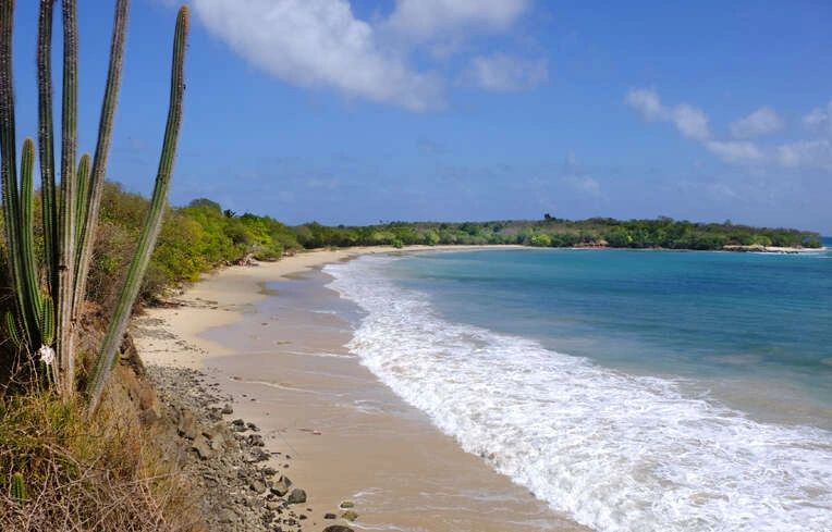 Petite Anse des Salines