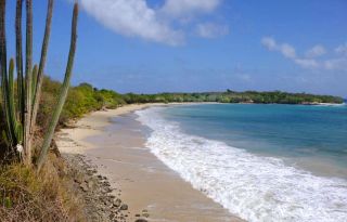 Petite Anse des Salines - Clothing optional beach in Martinique