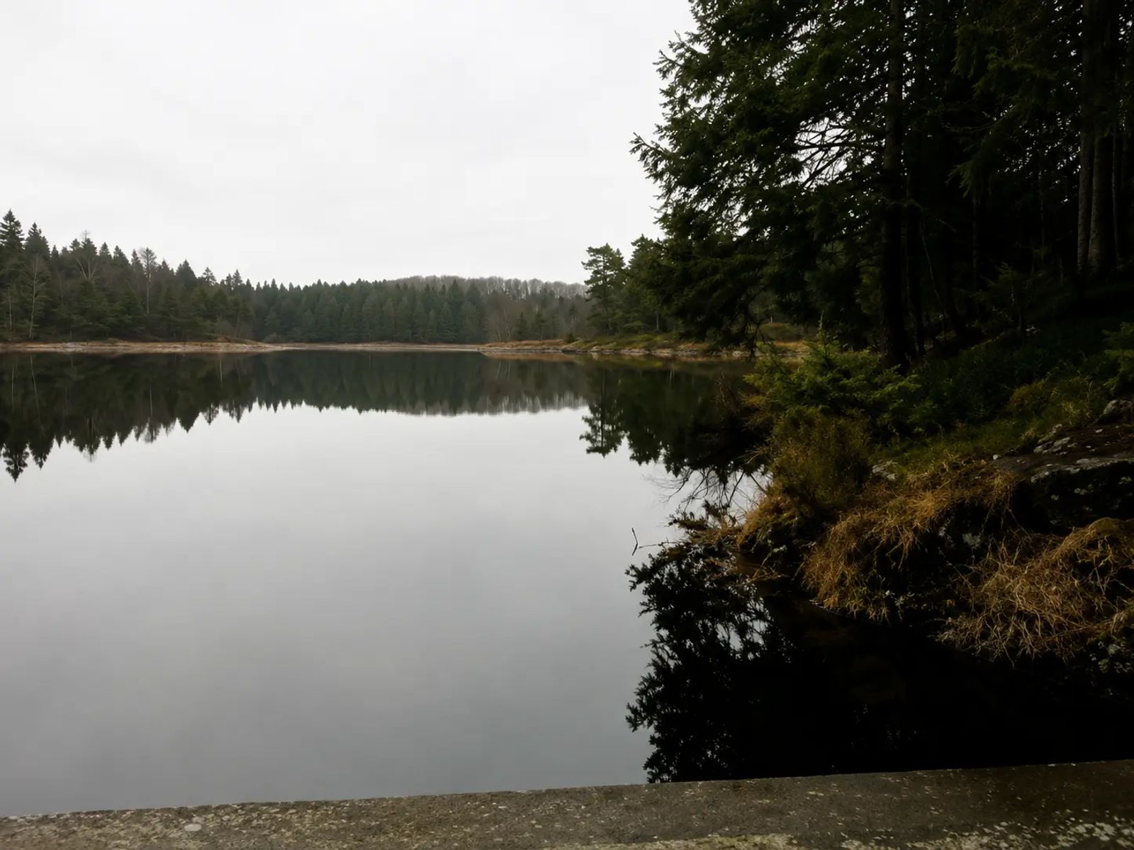 Svartkulp naturist beach