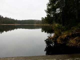 Svartkulp - Naturist Lake in Oslo, Norway