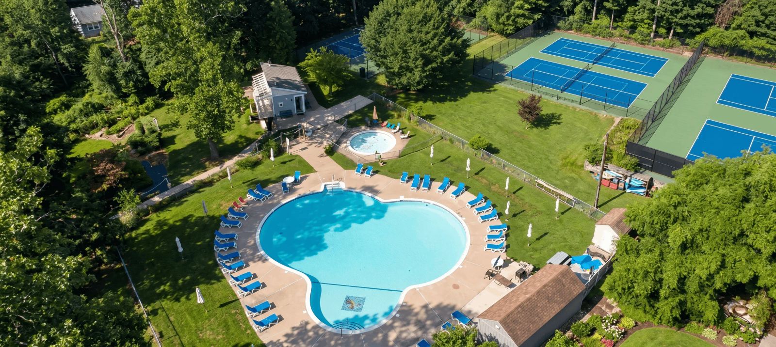 Pine Tree Associates