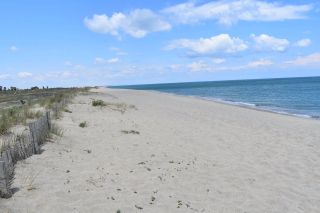 Sand here is surprisngly course