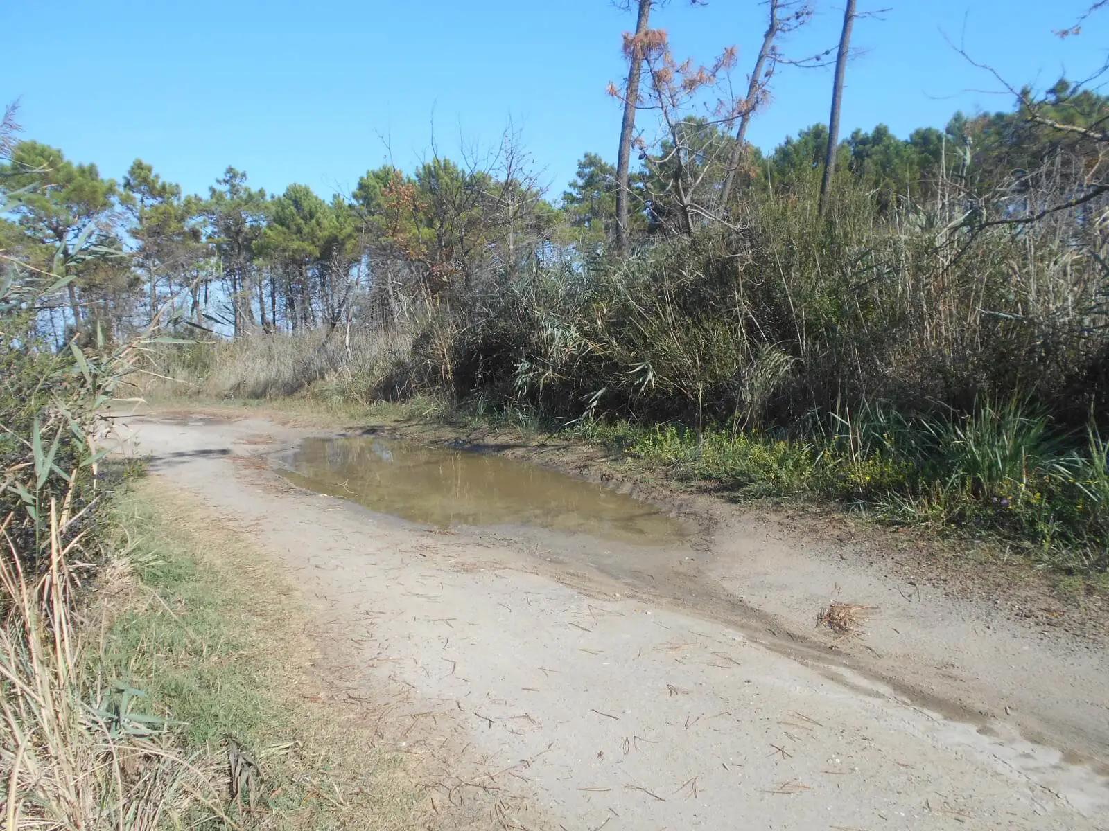 The dirt road to access the mid section of the beach (not recommended)