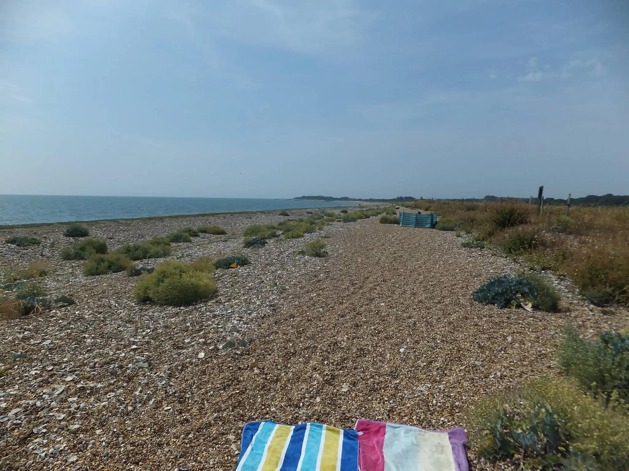 Plenty of room to stretch out at Eastney Naturist Beach!