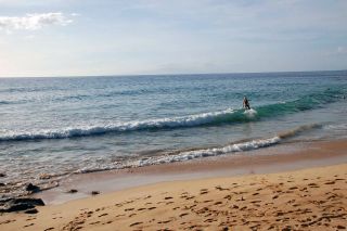 Naked surfing? Yep it's a thing at Little Beach!