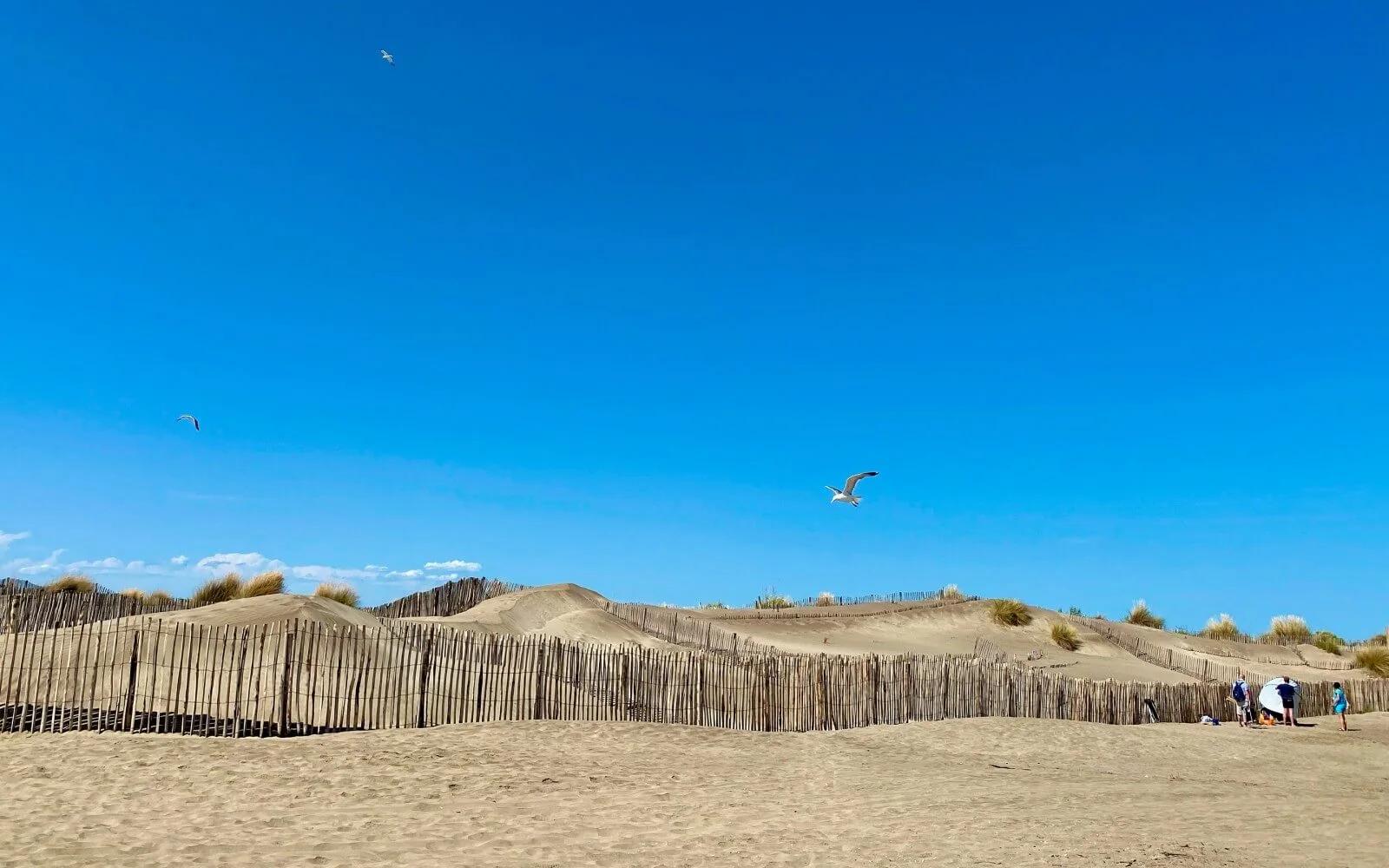 Lots of room to move at Plage de l'Espiguette