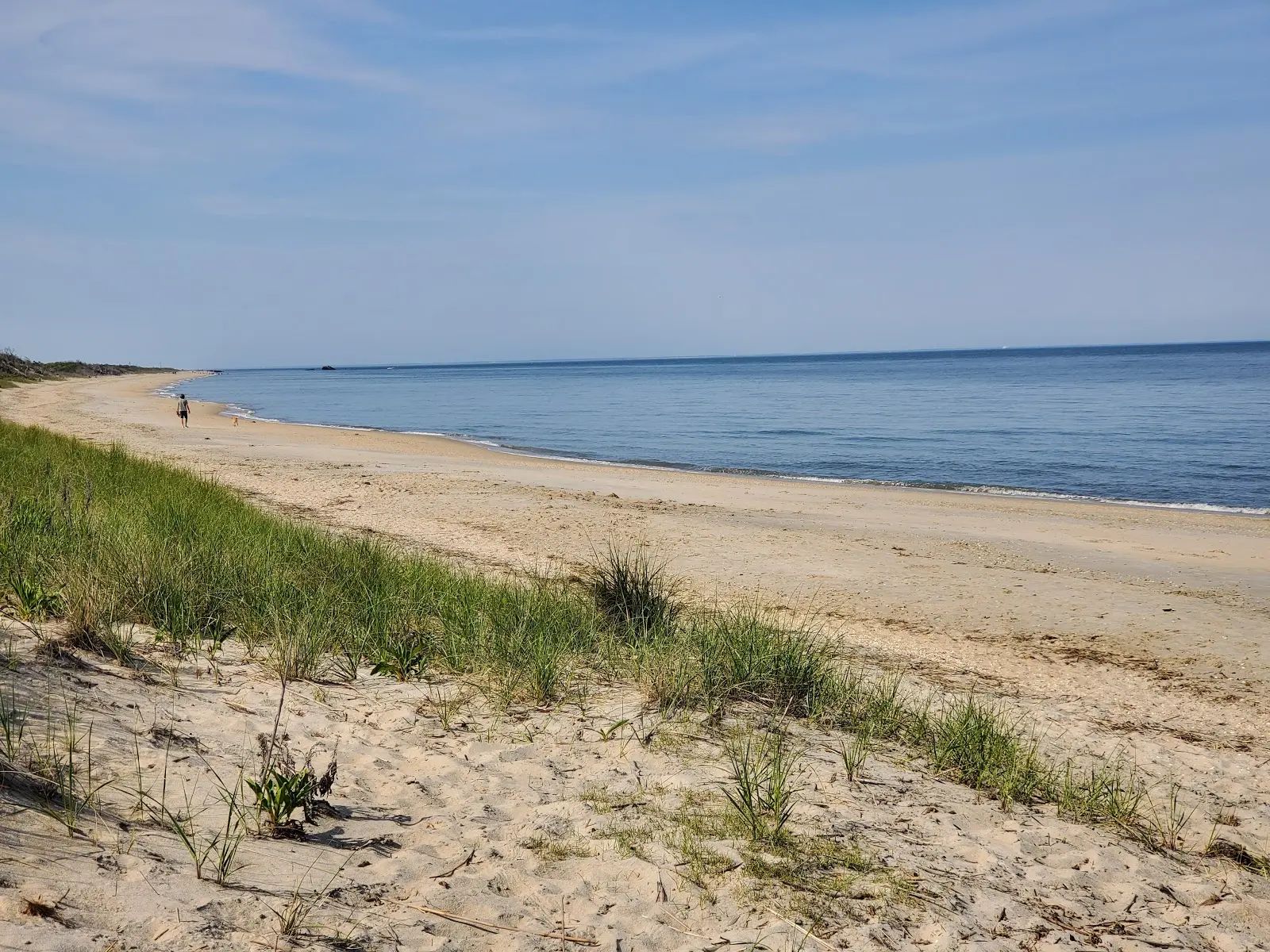 Higbee Beach