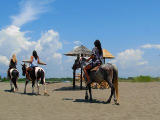 Horse riding is available