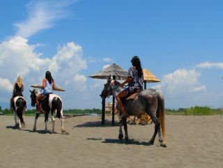 Horse riding is available