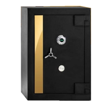 APS Office Safe S 2