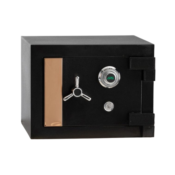 APS Home Safe SS 1