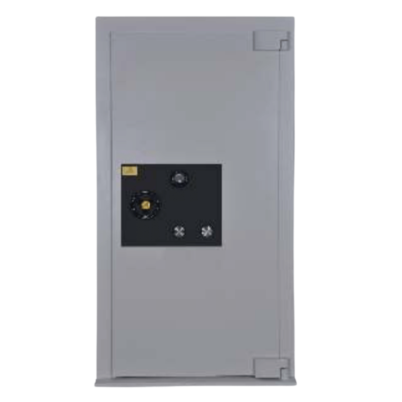Falcon Strong Room Door SSM50 3