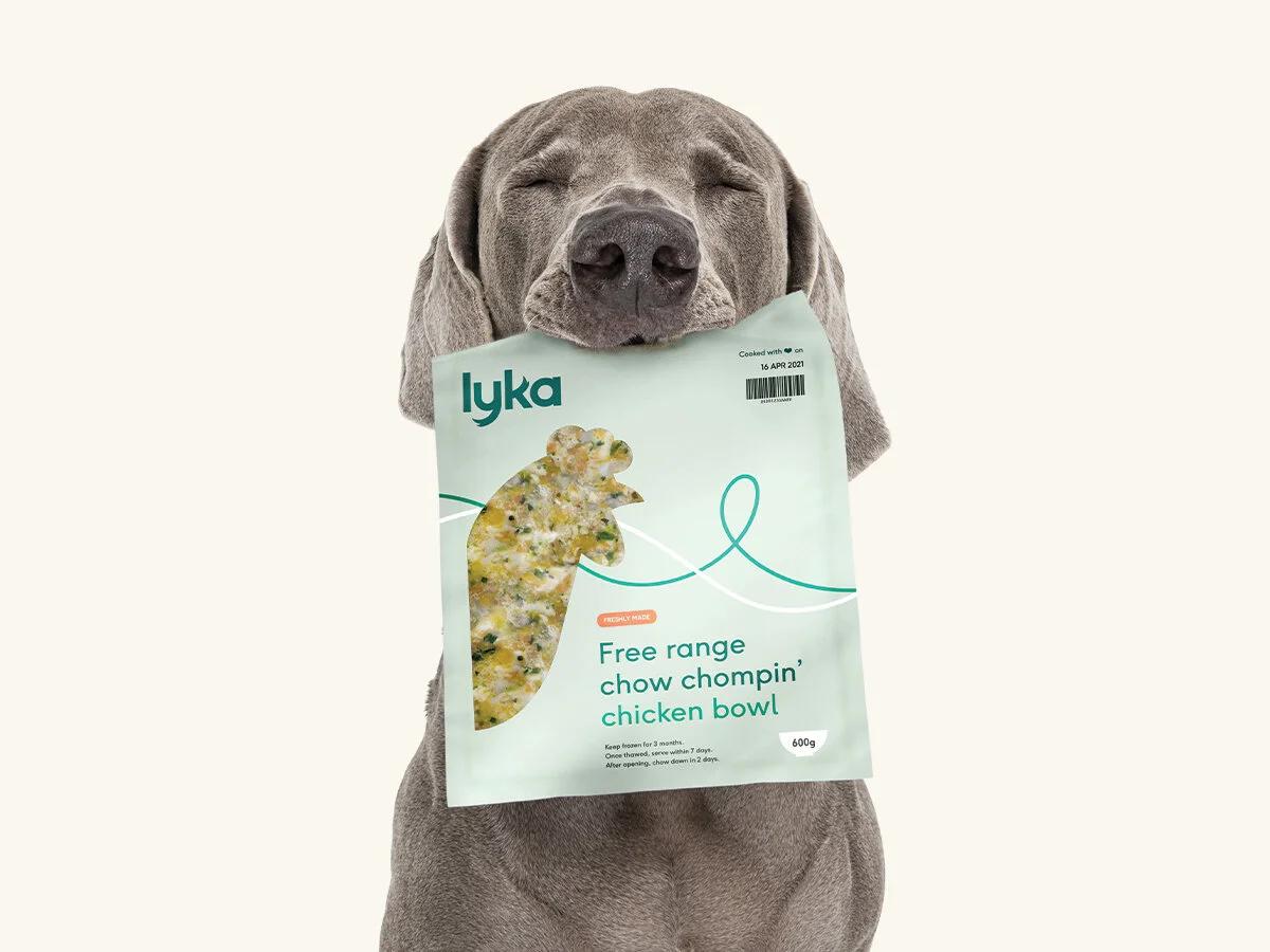 How Lyka tripled brand awareness in 3 years — and how they measured it