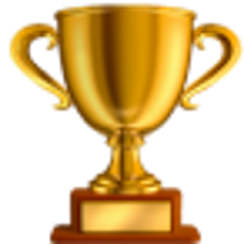 Dedicated brand champion  icon