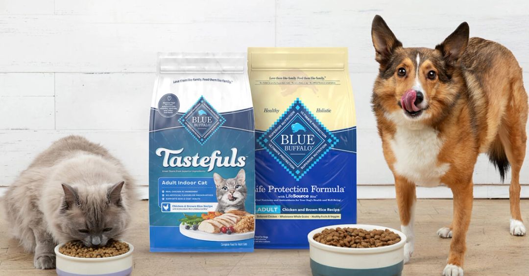 A dog licking its nose and a cat eating from a bowl, either side of two bags of Blue Buffalo pet food.
