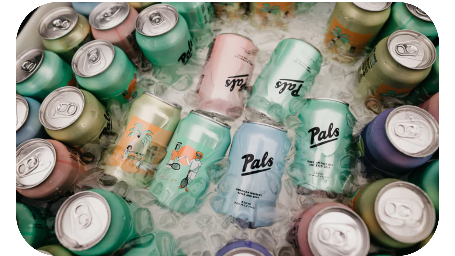 A collection of Pals beverage cans chilling on ice, symbolizing the brand's popularity and community engagement during summer in New Zealand