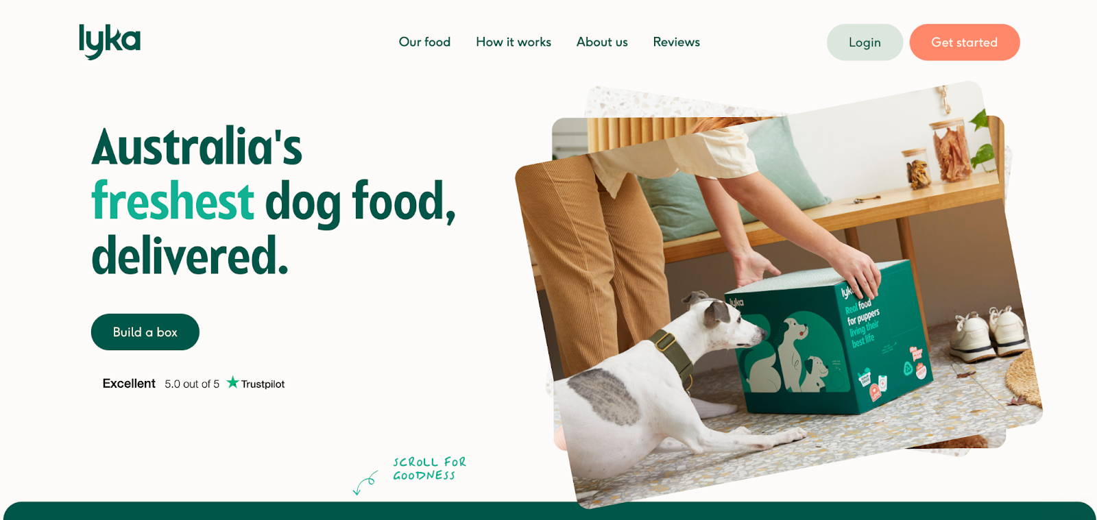 A person feeding a dog with a box of Lyka pet food, representing the convenience of pet food subscription services