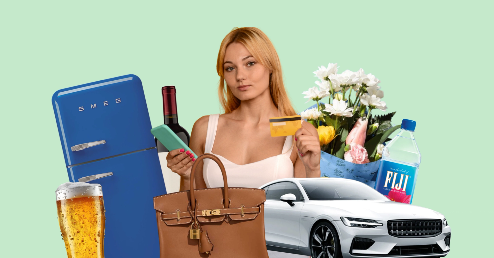 Selection of category images including, fridge, wine, beer, car, water, flowers, bag and a woman holding a credit card.