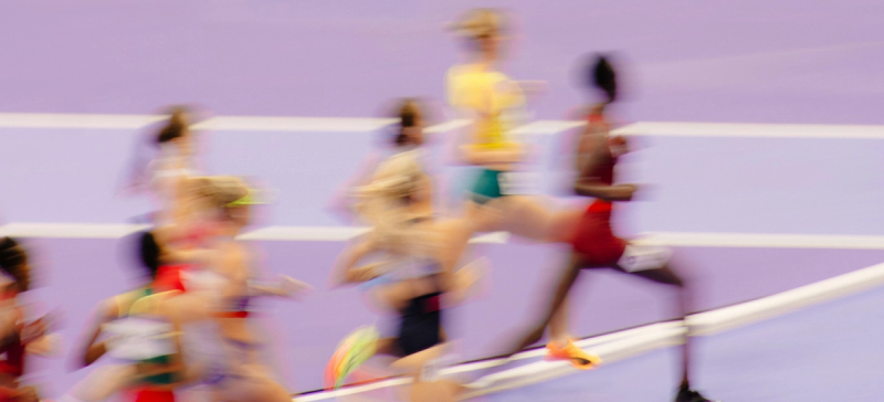 Track the Field: The guide to train your brand to win