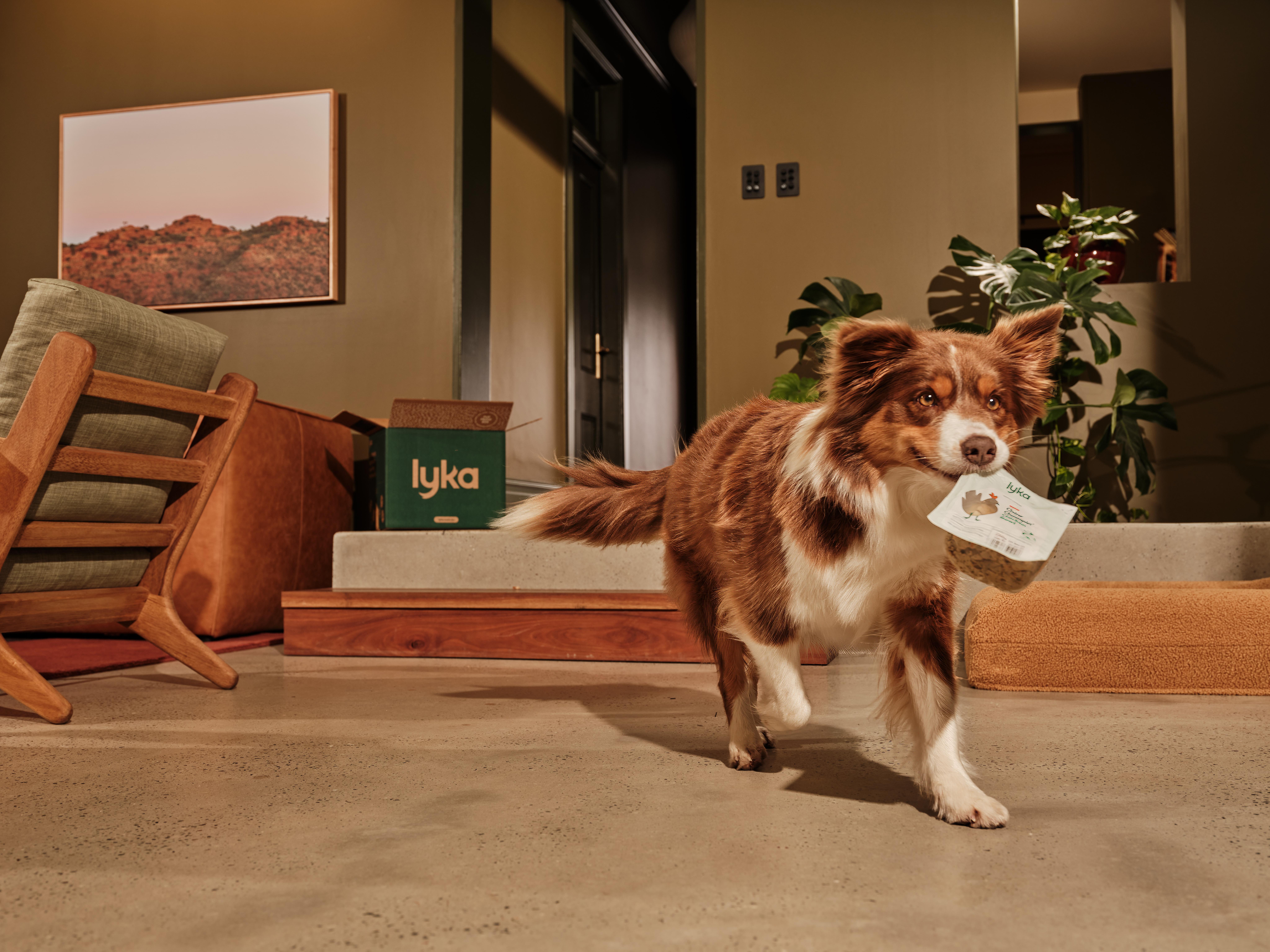 How Lyka tripled brand awareness in 3 years — and how they measured it