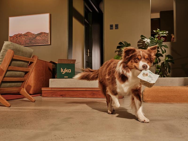 How Lyka tripled brand awareness in 3 years — and how they measured it