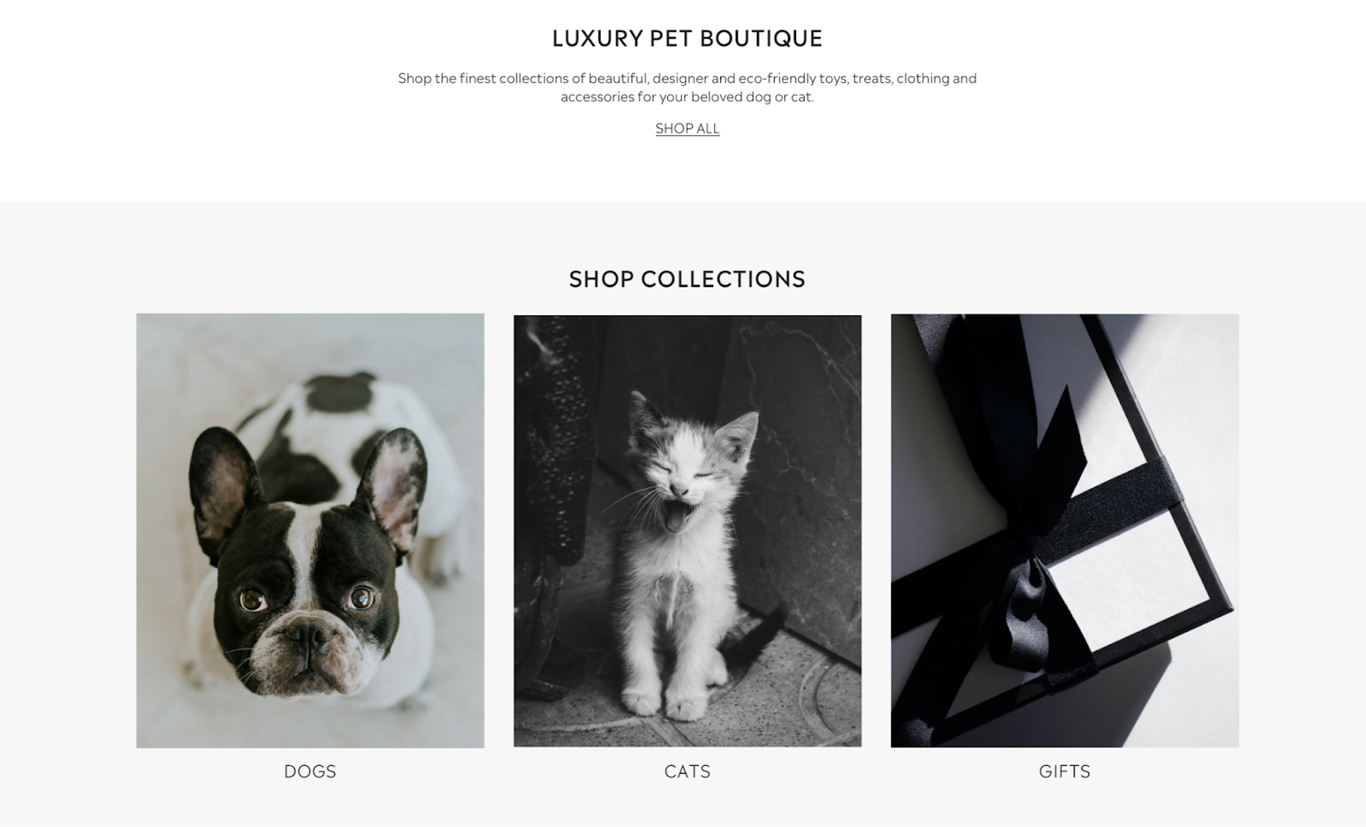 A visually appealing website for a luxury pet boutique showcasing a variety of products for dogs and cats, including unique gifts, reflecting the growing trend in the pet market for luxury and personalized items.