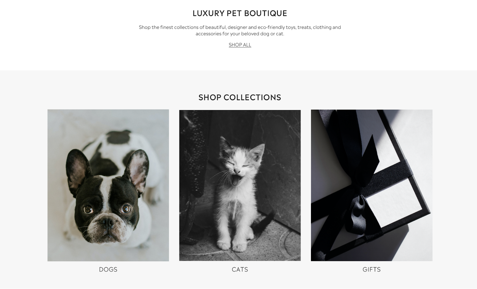 A visually appealing website for a luxury pet boutique showcasing a variety of products for dogs and cats, including unique gifts, reflecting the growing trend in the pet market for luxury and personalized items.