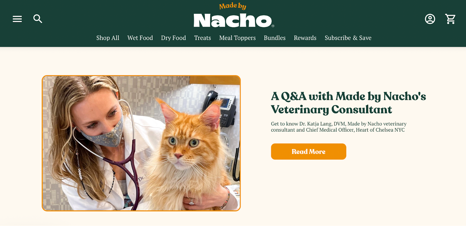 A woman holding an orange cat on a website promoting Nacho, a brand offering wellness tips and products for pet owners, reflecting the growing trend of pet humanization and the booming pet market industry.