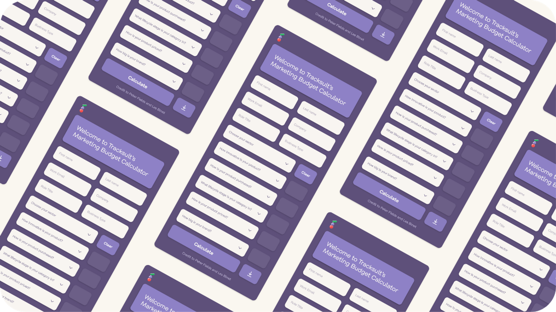 A bunch of screens from the marketing budget calculator