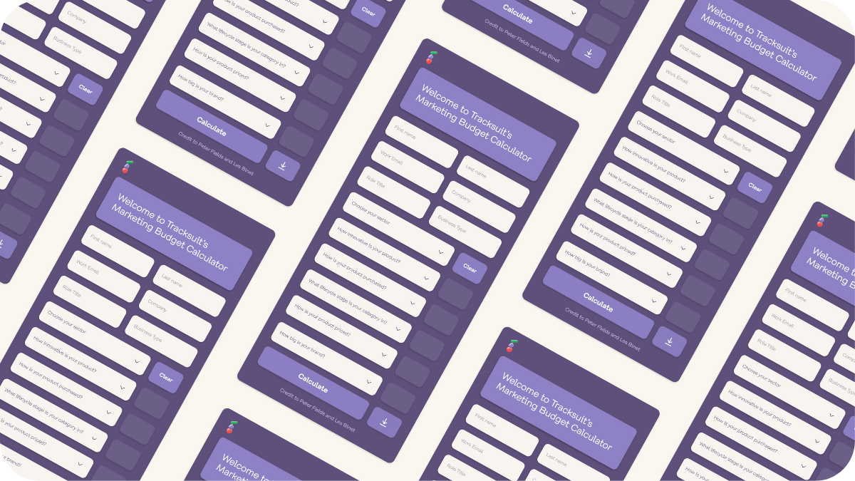A bunch of screens from the marketing budget calculator