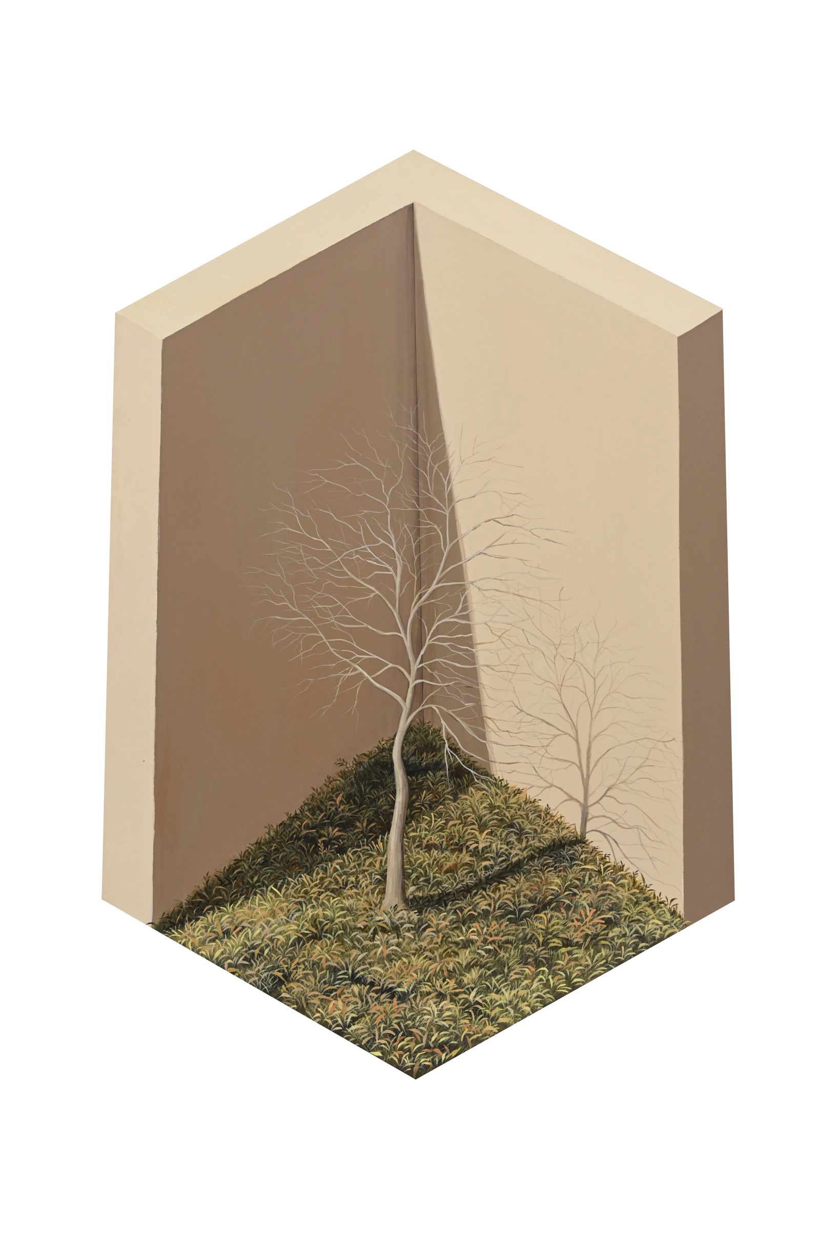 CORNER by Shahid Hassan Boni