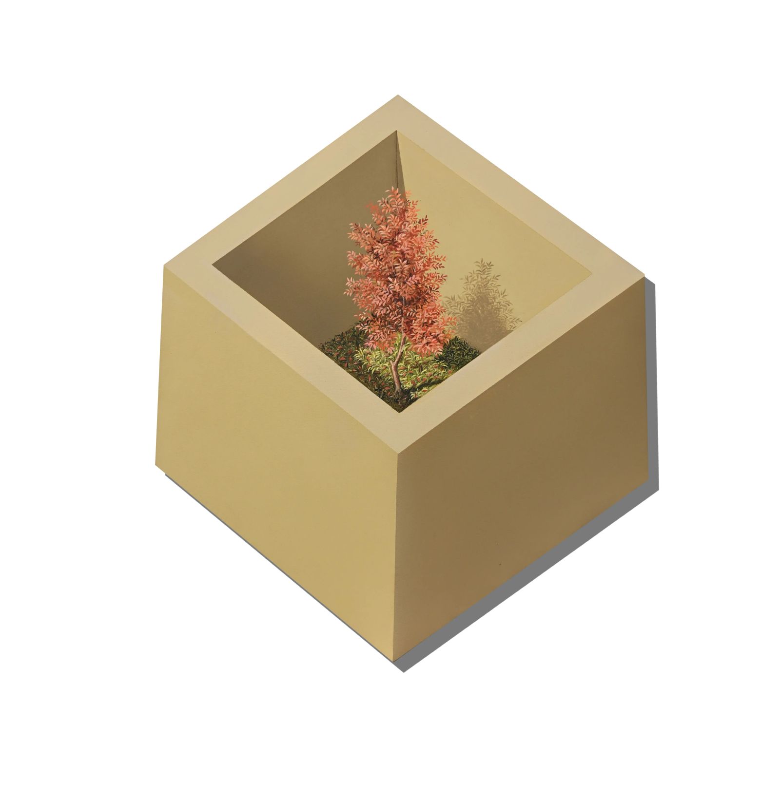 CONFINED NATURE by Shahid Hassan Boni