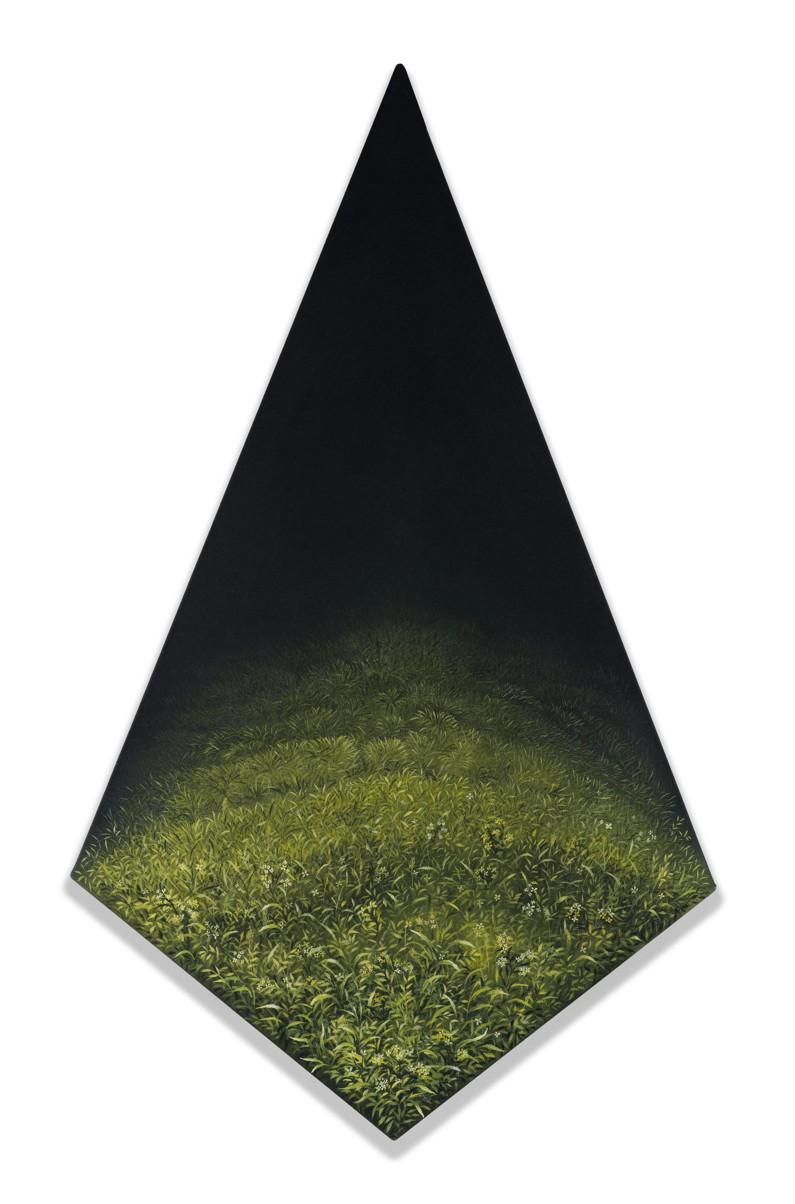 WHERE DREAMS DWELL ,  Medium; Matte acrylics on canvas, size; 42 inches height 24inches width, Year 2024, Artist; Shahid Hassan Boni