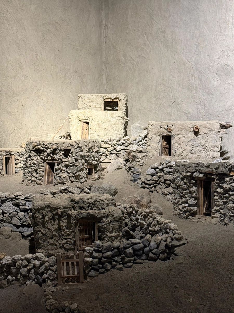 Traces of Root by Shahid Hassan Boni