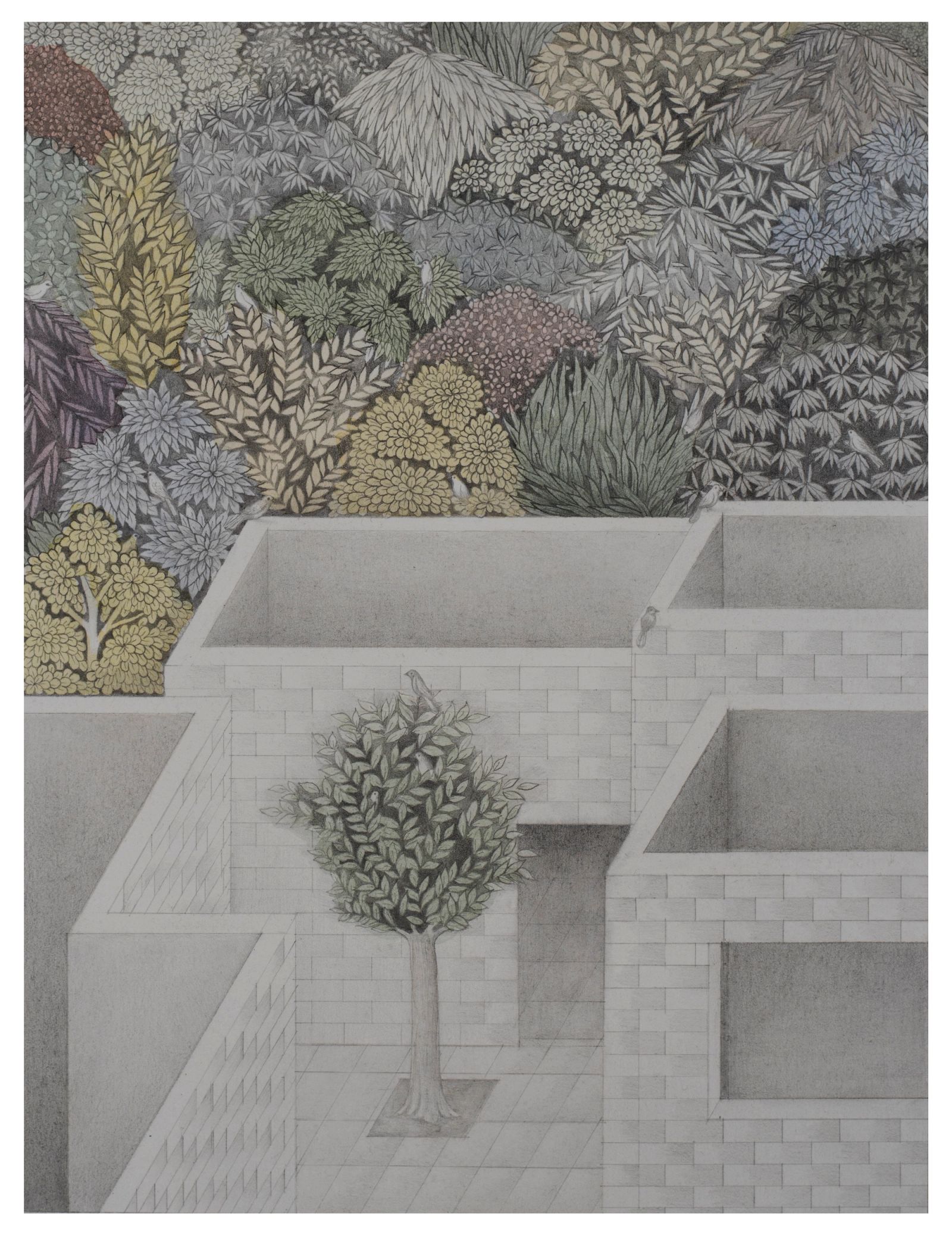 UNTITLED II. Medium Graphite and watercolor on wasli paper, size 22cm x 16cm Year 2021 Artist. Shahid Hassan Boni