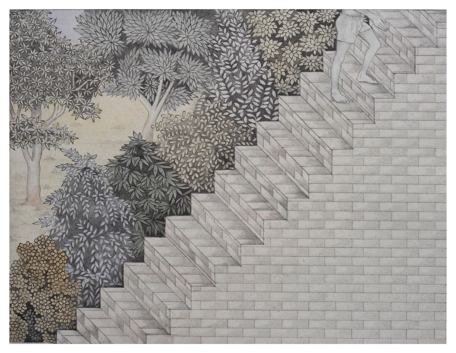 GROWTH. Medium Graphite and watercolor on wasli paper, size 7 inches by 10 inches Year 2021 Artist. Shahid Hassan Boni