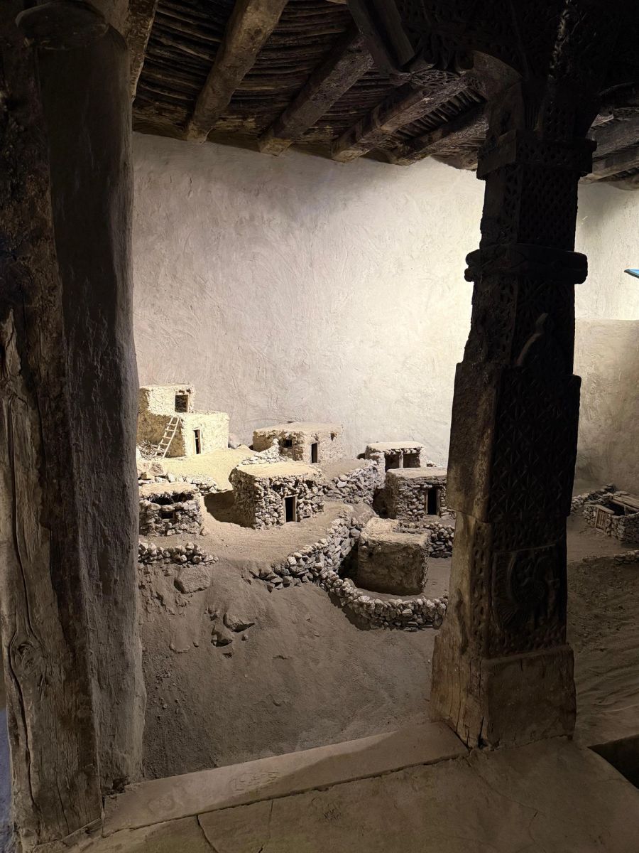 Traces of Root by Shahid Hassan Boni