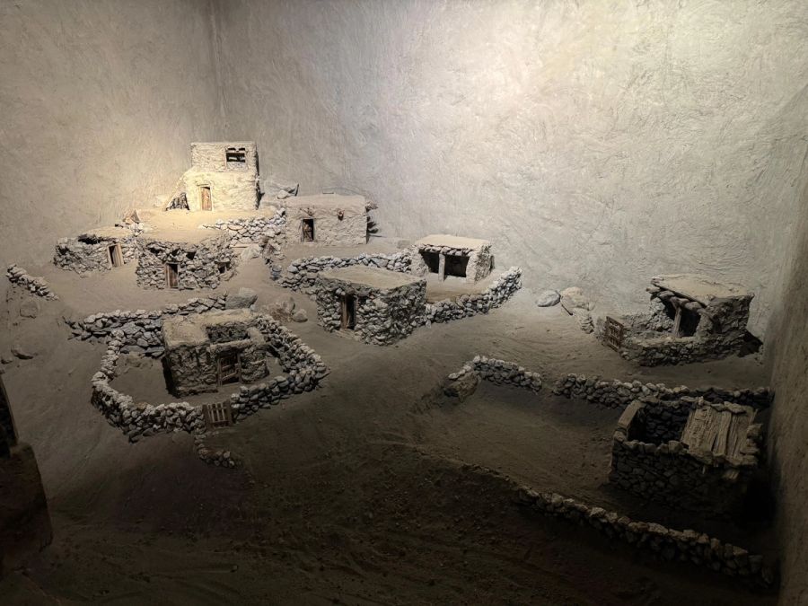 Traces of Root by Shahid Hassan Boni