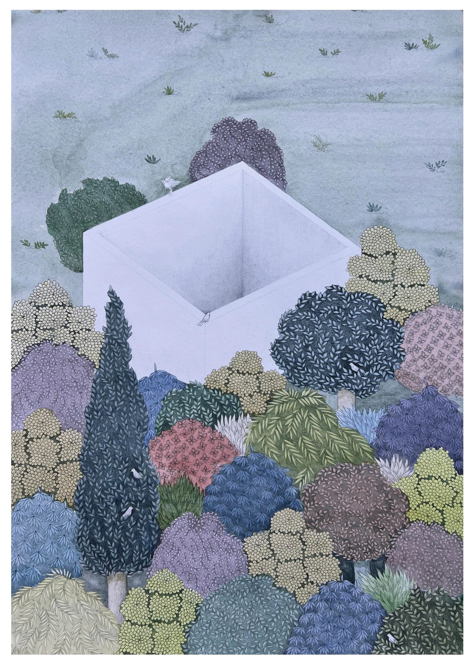 THE GARDEN OF DESIRE, SIZE 20 inches x15 inches ,2022, SHAHID HASSAN BONI