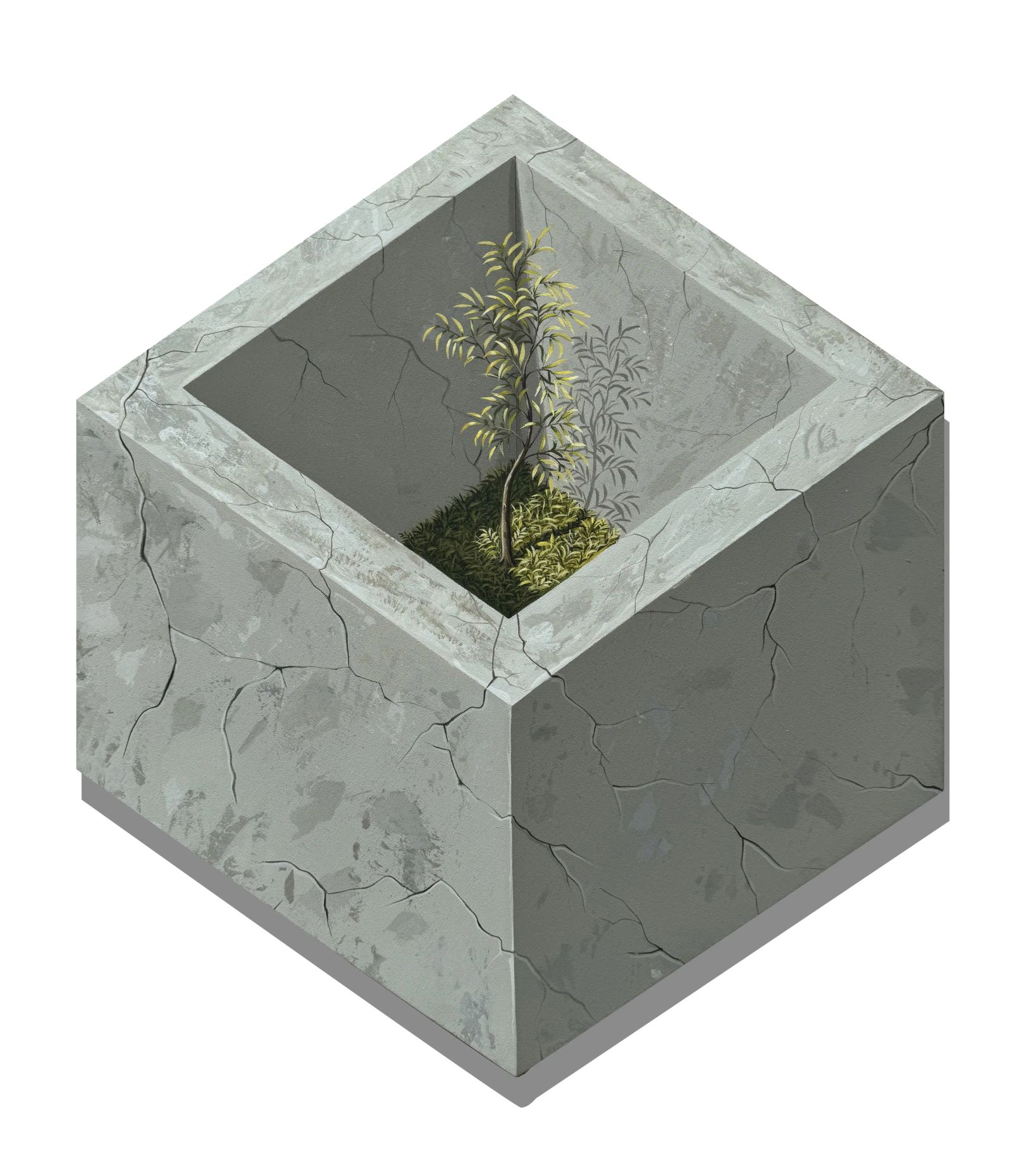 GRIT, Medium; Acrylics on canvus, Size;26 inches height, 23 inche width, Year 2025, Artist; Shahid Hassan Boni