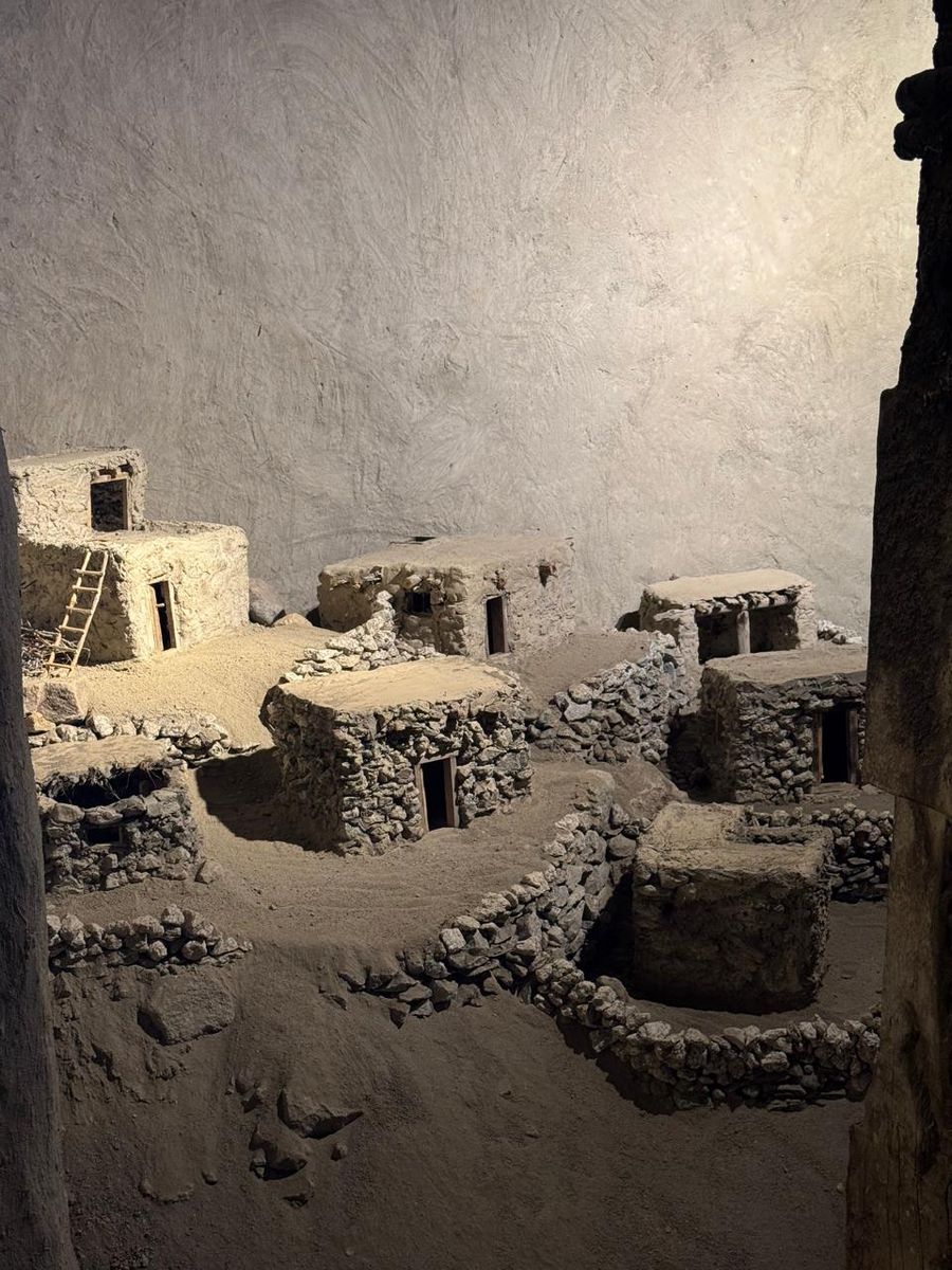 Traces of Root by Shahid Hassan Boni