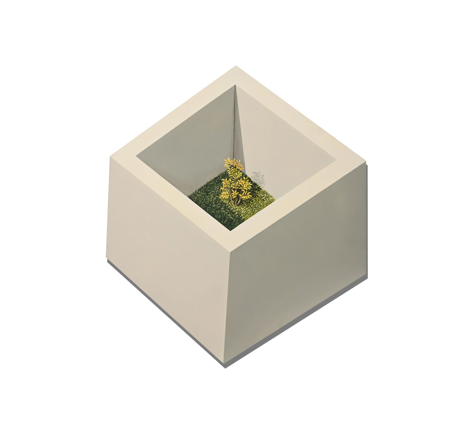 some text for google apperance