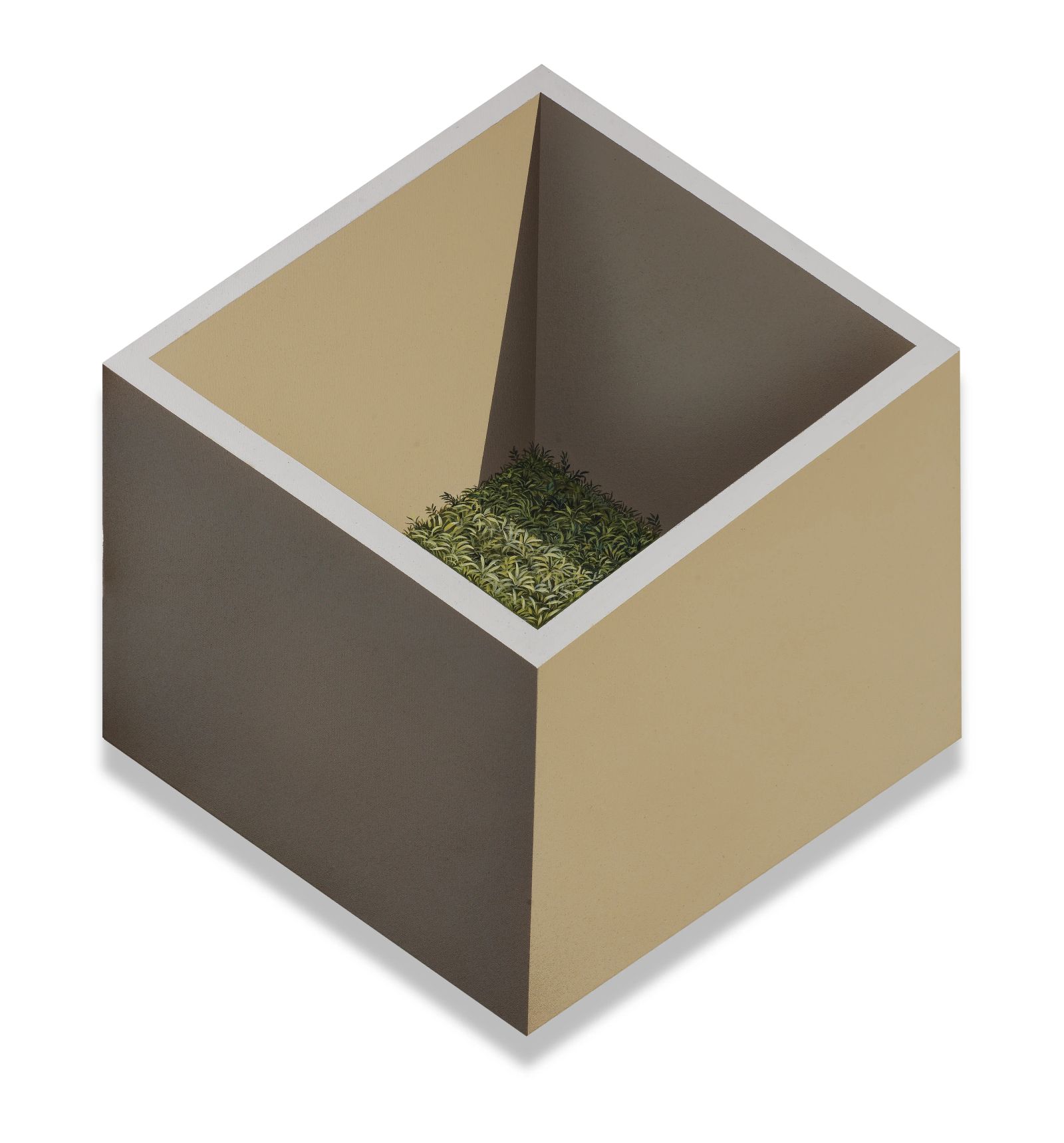 COCOON, Medium; Acrylics on Canvus, Size; 58 cm heigth 50.8 cm wide , Artist; Shahid Hassan Boni, Year; 2024