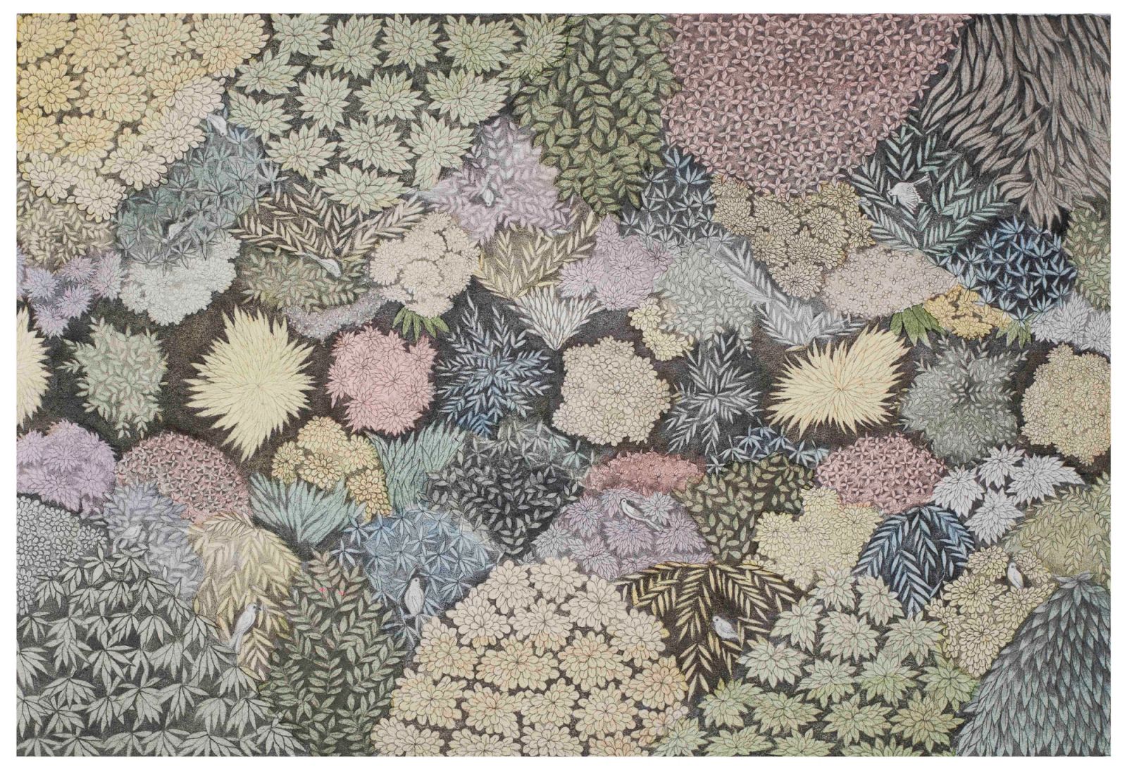 LUSH JUNGLE, Medium; Graphite and watercolor on paper, Size 7 inches height, 11 inches width, Year; 2021, Artist, Shahid Hassan Boni copy