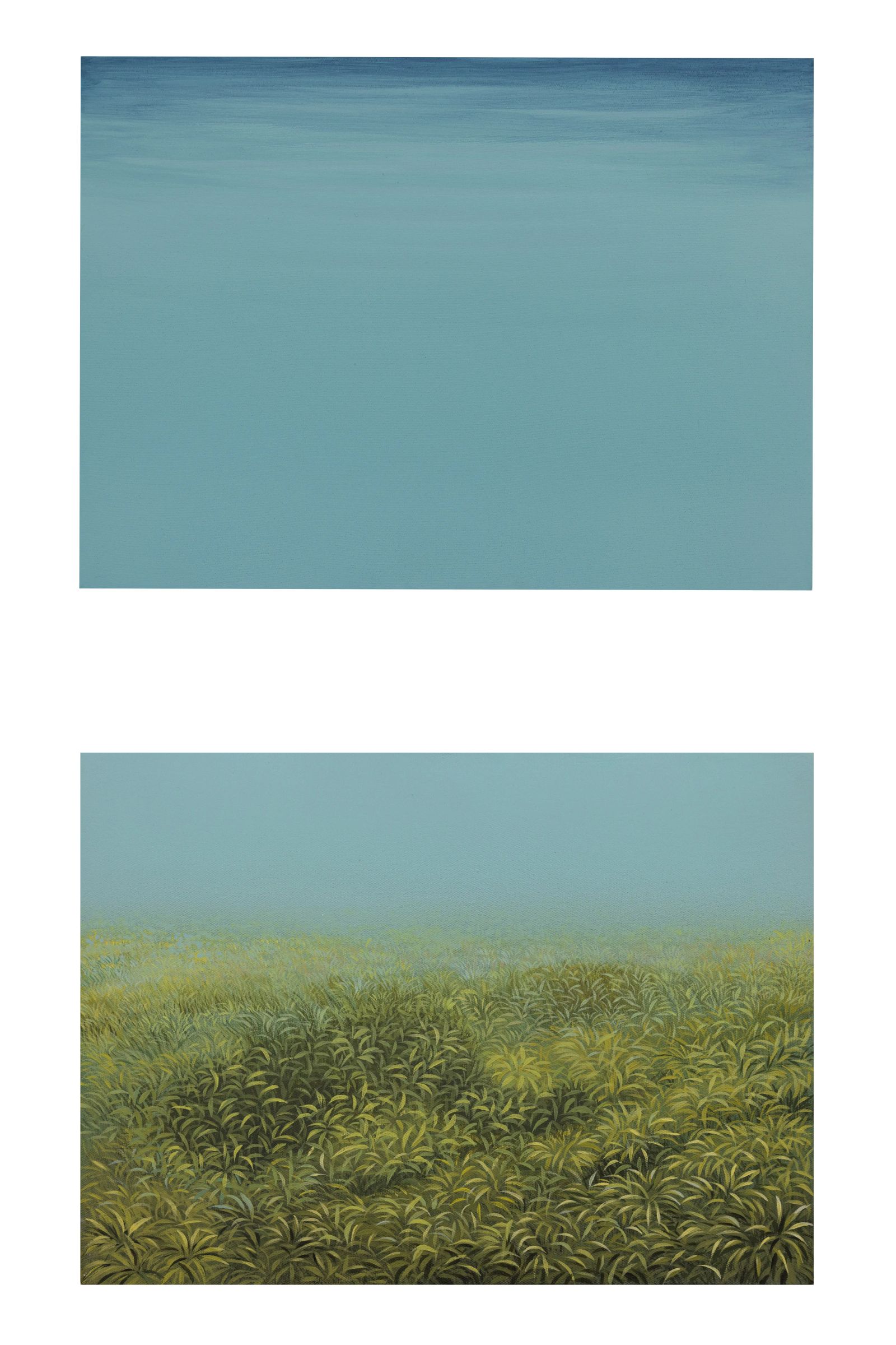 BETWEEN SKY AND EARTH (diptych) , Medium; Acrylics on Canvus, Size; 8 inches heigth 11 inches wide Each , Artist; Shahid Hassan Boni, Year; 2024