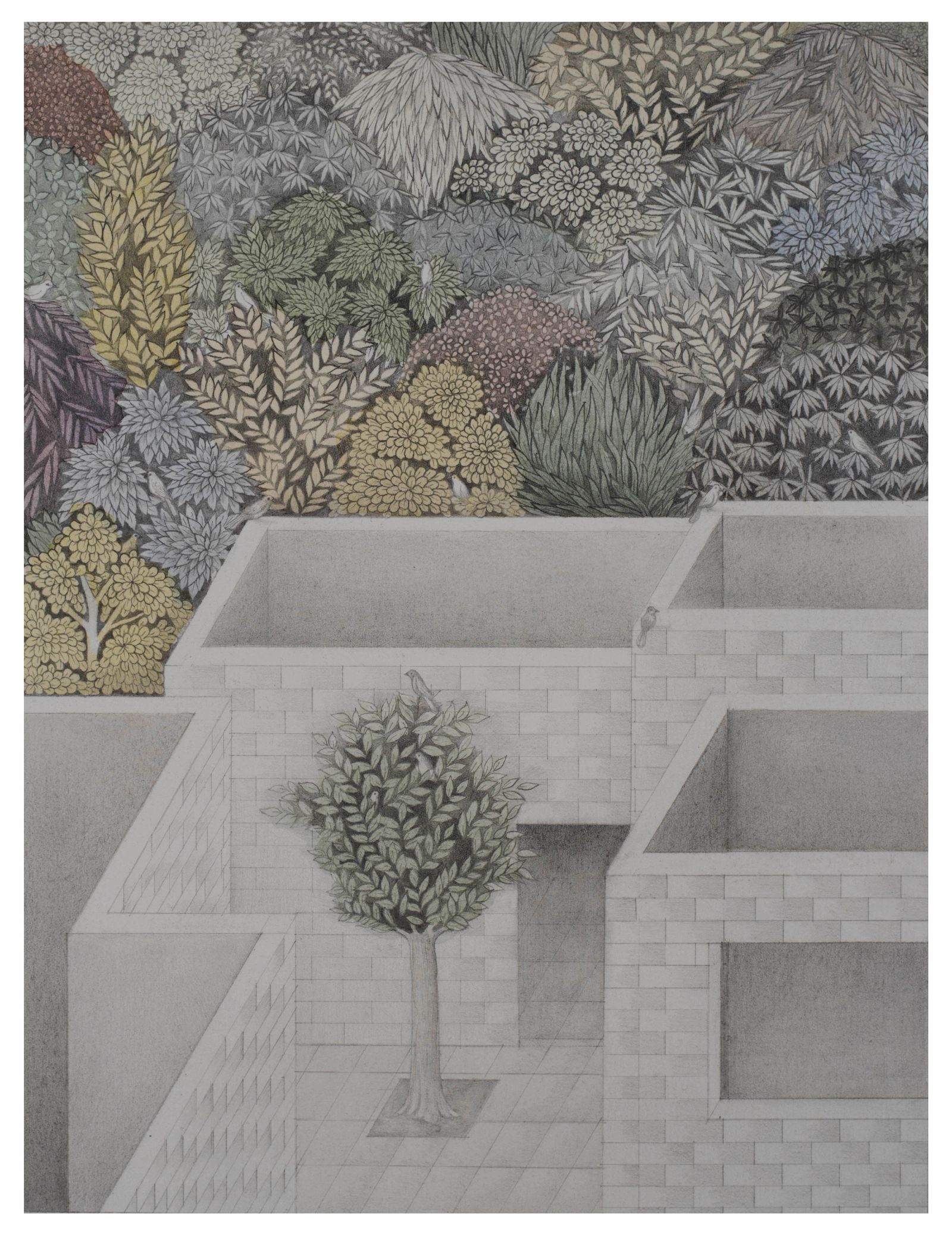 UNTITLED Medium Graphite and watercolor on wasli paper, size 9inches by 6inches Year 2021 Artist. Shahid Hassan Boni