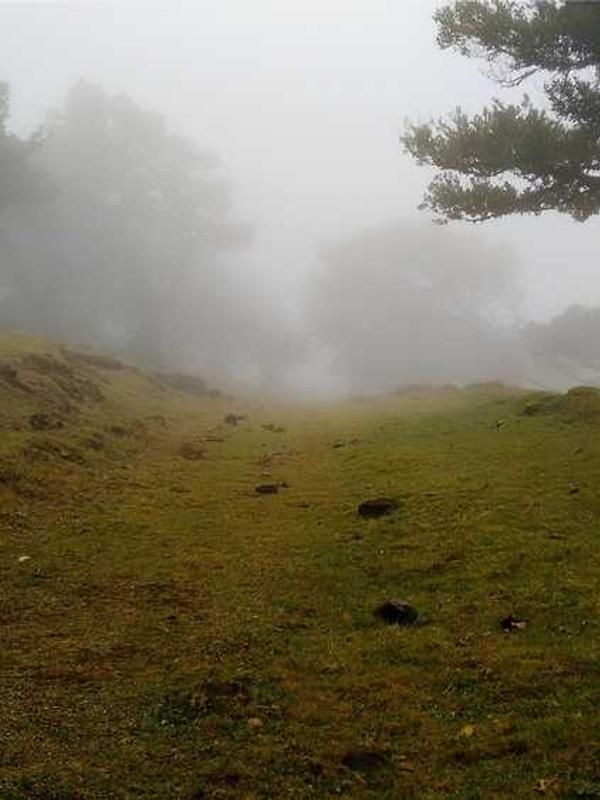 A Partnership with Nature image 2