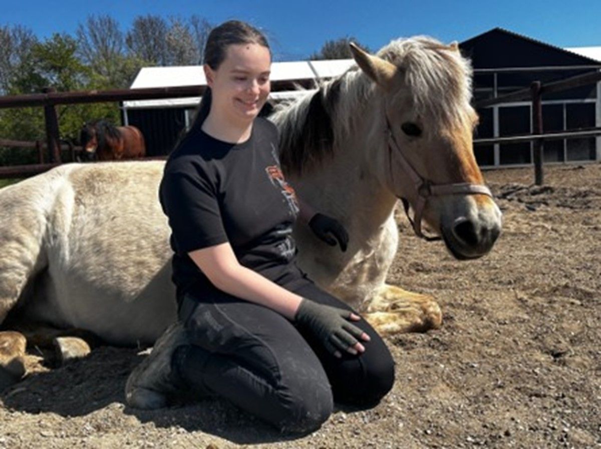 Hestehavegaard Stu — STU-uddannelse i Sjælland